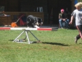 agility3