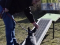 DSC0081-e1505584893664