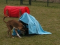 Photo15