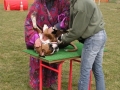 Photo5