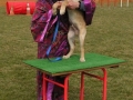 Photo6