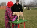 Photo9