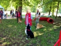 IMG_20180623_103731657